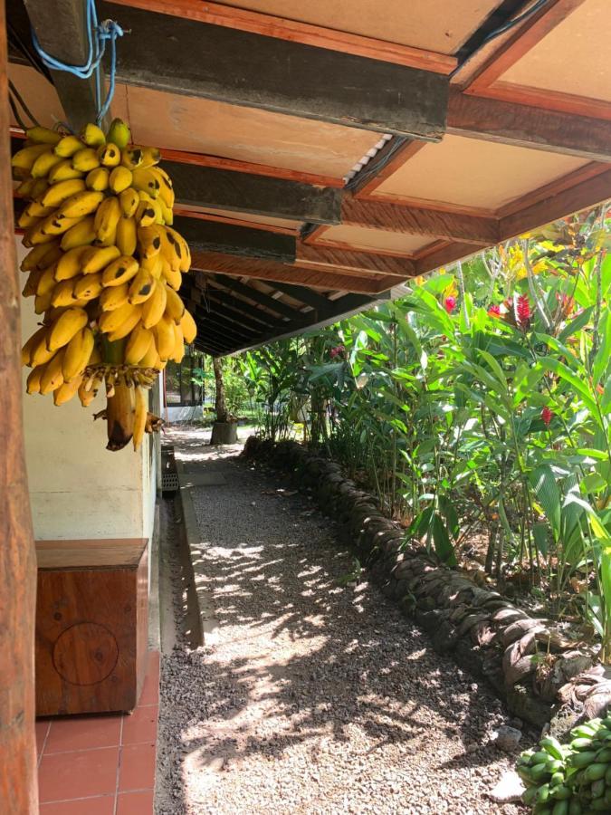 Lusia'S Lagoon Chalets 살레롤로가 외부 사진